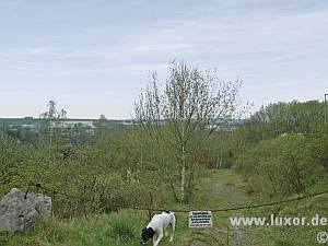 Text Bild 5